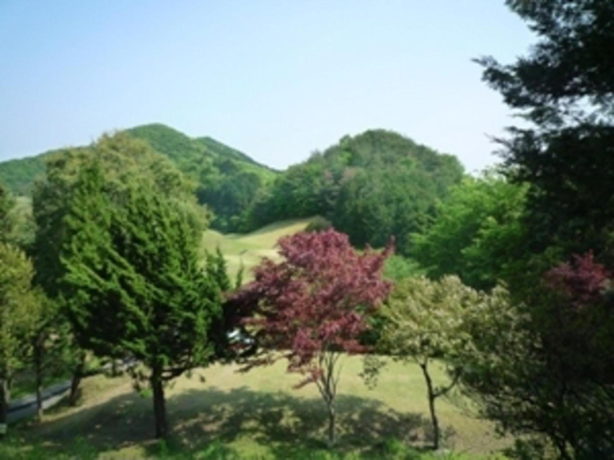 Utsunomiya Inter Resort Hotel - Vacation Stay 68874V Екстериор снимка